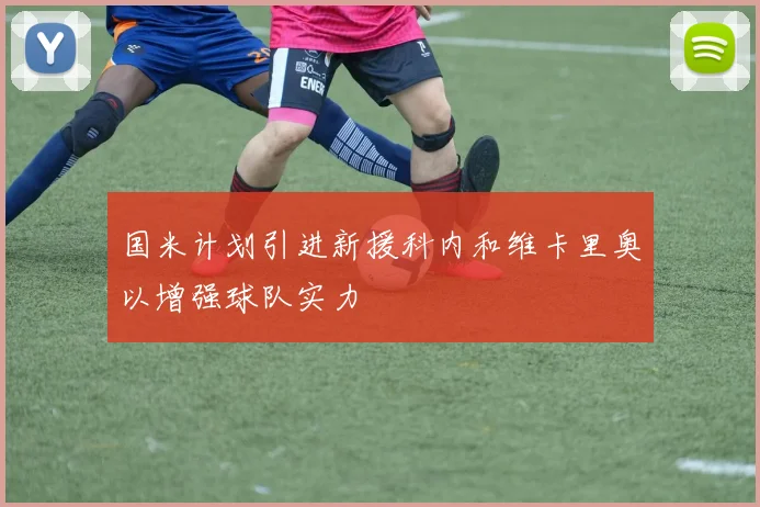 国米计划引进新援科内和维卡里奥以增强球队实力