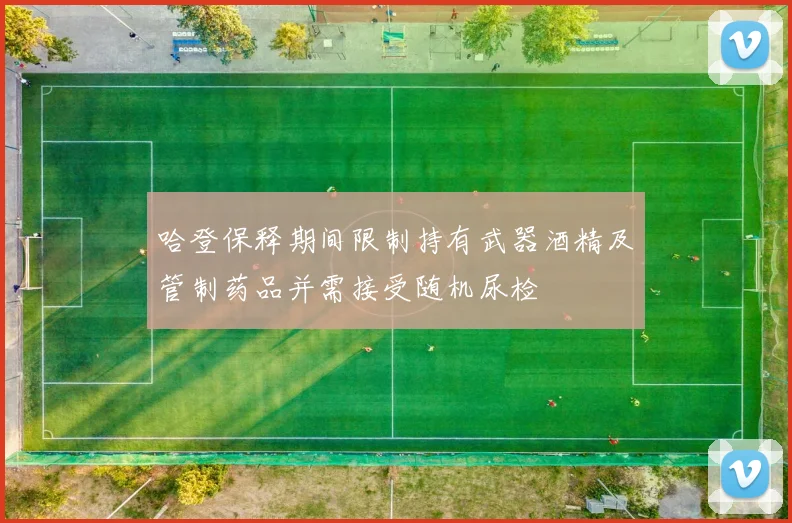 哈登保释期间限制持有武器酒精及管制药品并需接受随机尿检